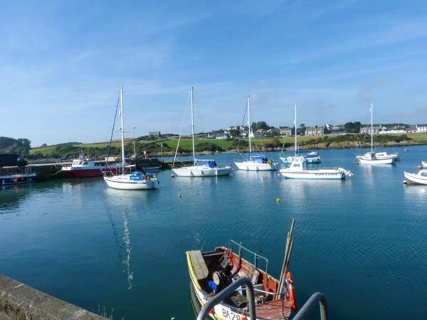 The Clamshell Lägenhet Isle of Whithorn Exteriör bild